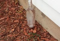 Viinipullon muotoiseksi muovautunut jää