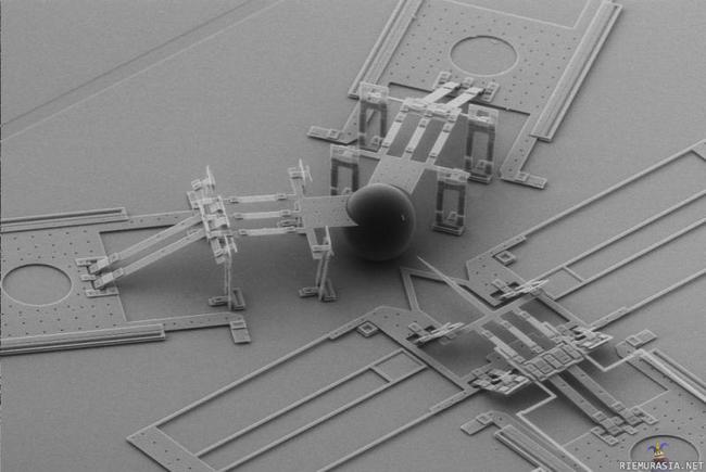 Nanoinjector, a microscopic machine used to inject cells with DNA - http://i.imgur.com/xYhP37O.gifv https://www.youtube.com/watch?v=djH8AM2diyE

Laite joka siirtää dna:ta soluihin, jos oikein ymmärsin.