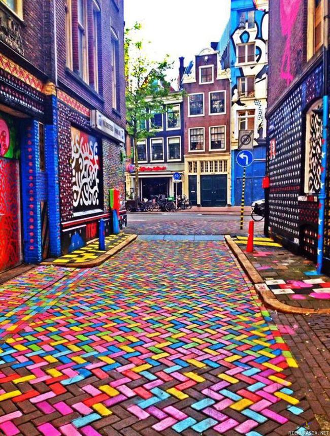 Amsterdamin kadut - Jollet muuten jo ole tarpeeksi hapoissa