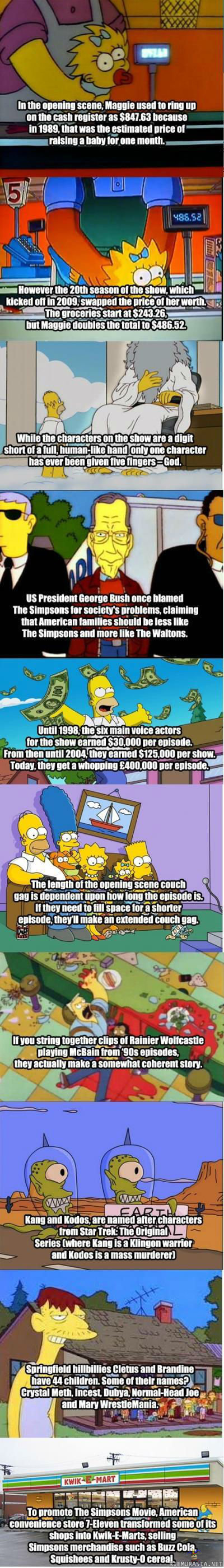 Simpsonit - Nippelitietoa sarjasta