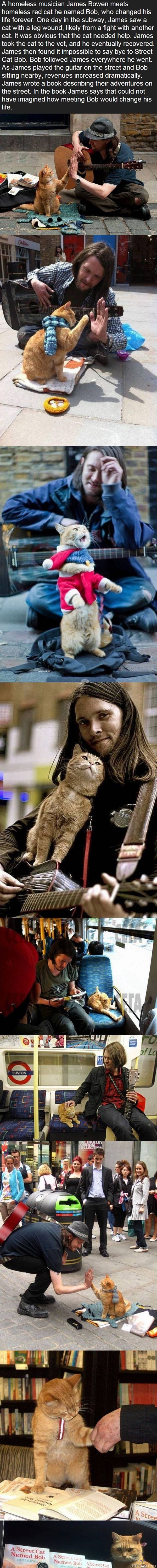 Koditon muusikko ja kissa