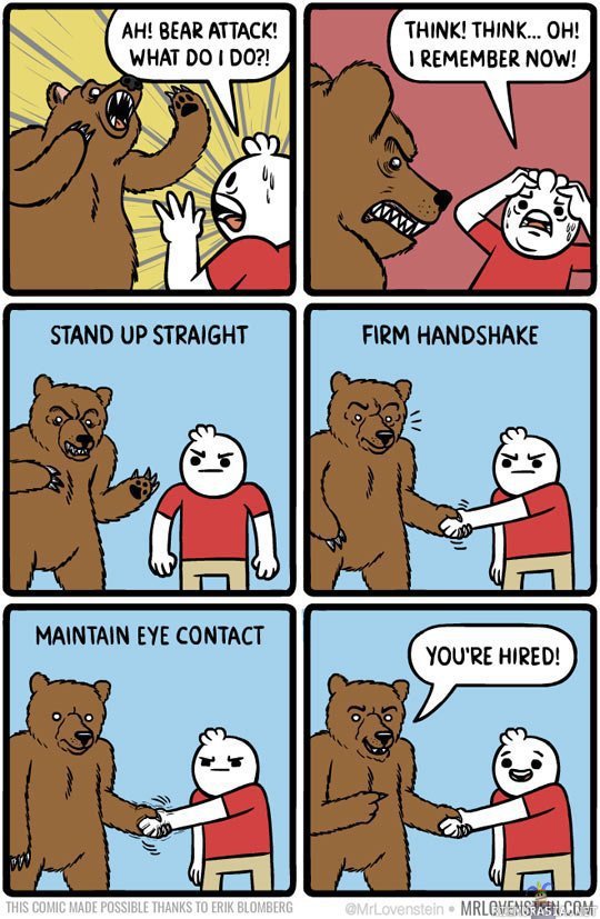 Karhun kohtaaminen
