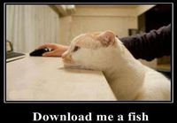 Download me a fish