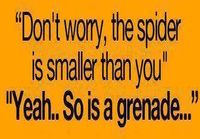 Älä panikoi, hämähäkki on pienempi kuin sinä.