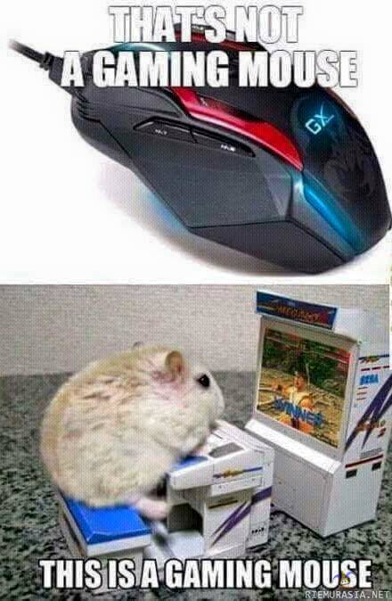 Gaming mouse