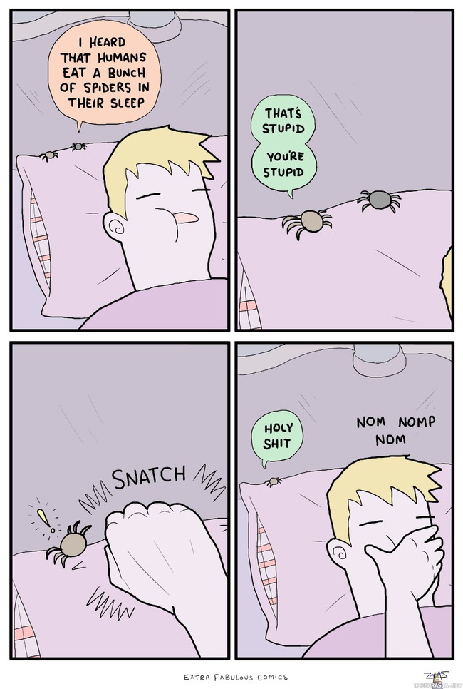 Hämähäkkimyytti