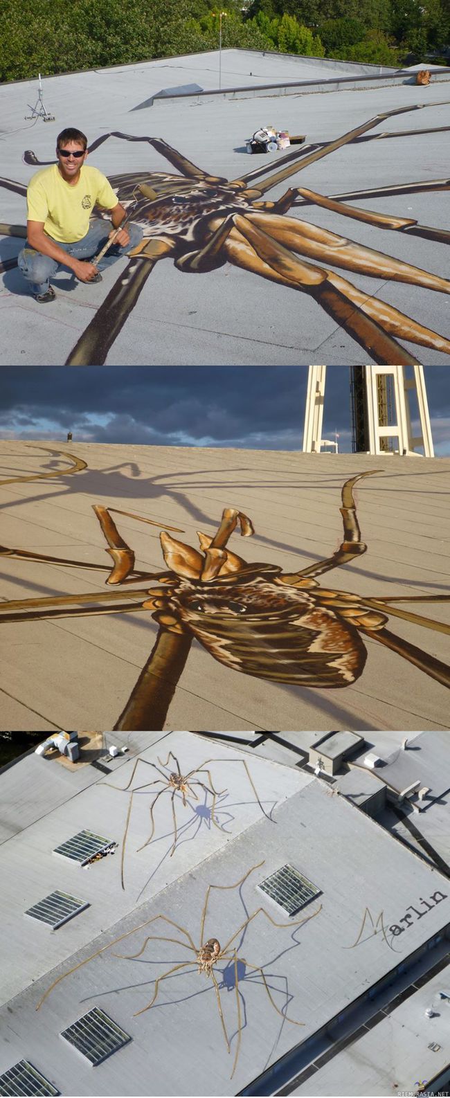 Jättiläishämähäkkejä rakennuksen katolla - Taiteilija Marlin Peterson on maalannut rakennuksen katolle hienoja kolmiulotteisia hämähäkkejä jekuttamaan lentokoneita sekä seattlen space needlessa maisemia katsovia ihmisiä.

Lisää aiheesta: http://urbanshit.de/spider-rooftop-by-marlin-peterson