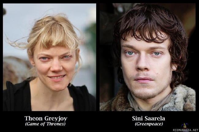 Saarela - Greyjoy - Greyjoy - Saarela