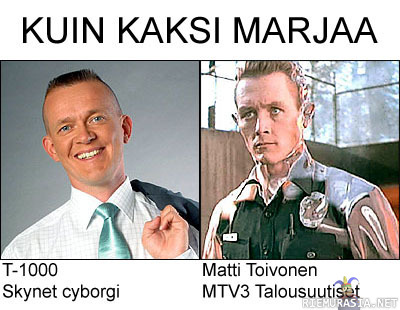 Kuin kaksi marjaa