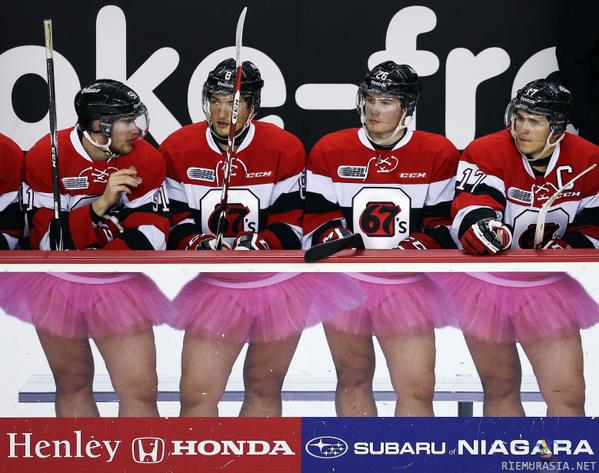 Balettikiekkoilijat - Vaughn Ridley:n ottama kuva OHL junioriliigan ottelun aikana. Pelaajat kuuluvat Ottawa 67&#039;s:n joukkueeseen.