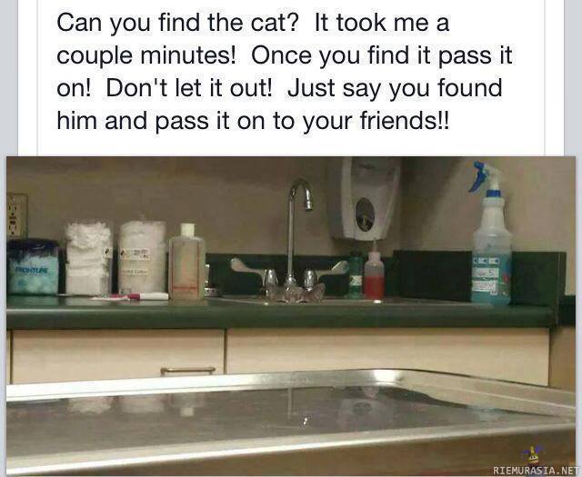 Vedätys (?) - Löydätkö kuvasta kissan? Jos löydät, anna muidenkin etsiä itse.