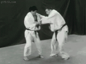 Judo trick - Ovela