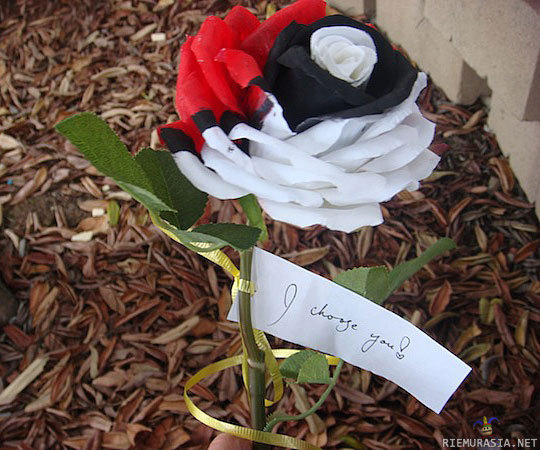 Pokemon ruusu
