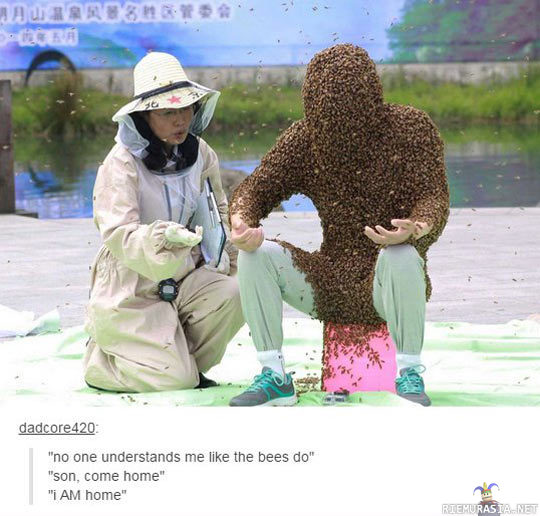 Mehiläismies