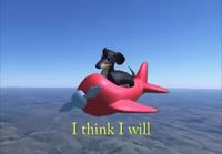 Koira lentokoneessa