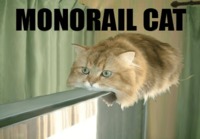 Monorail cat