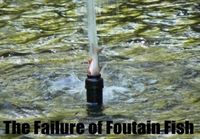 The failure of fountain fish