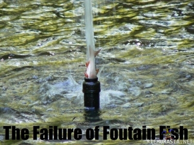 The failure of fountain fish - You just keep failing