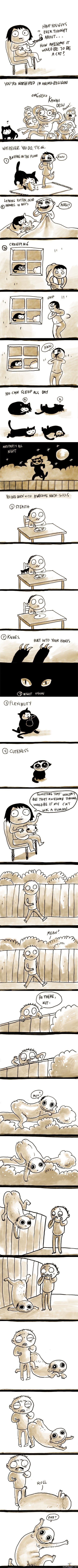 Being a Cat is Awesome...