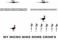 Mike Row