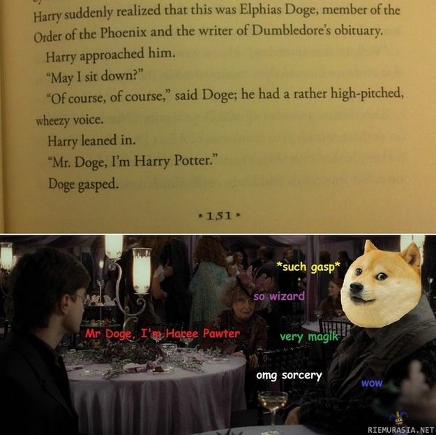 Harry Potter kohtaa mr. Dogen - Wow