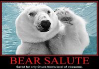 bear salute