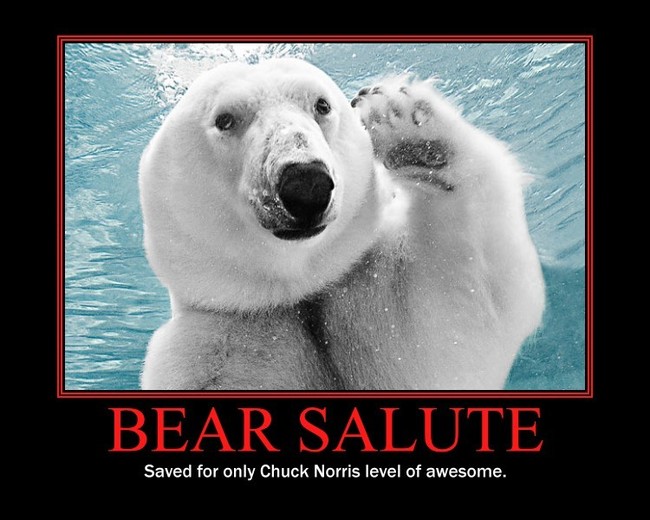 bear salute