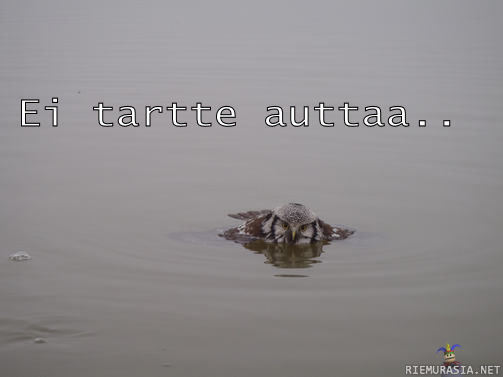 Ei tartte auttaa - painu sinä hel***tiin siittä