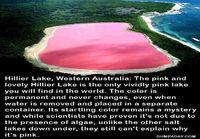 Pinkki järvi