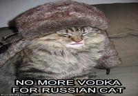 Russiancat
