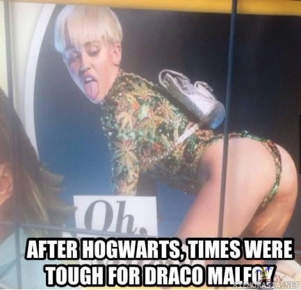 Kaikkien näyttelijöiden ura ei välttämättä lähde nousuun sen yhden hittisarjan jälkeen. - Draco Malfoy ei voi hyvin