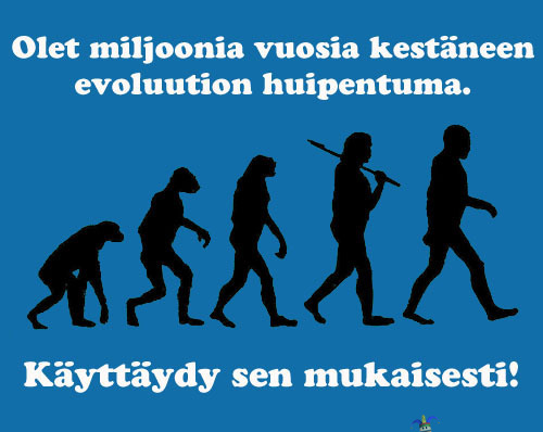 Evoluutio