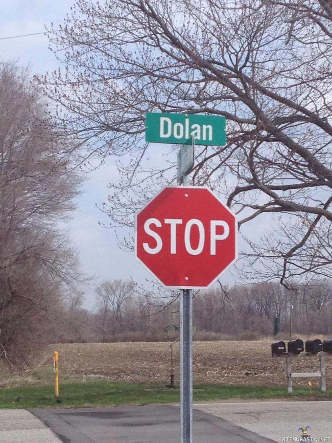 Dolan - Stahp