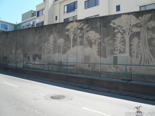 reverse graffiti - spraypullojen käyttämisen sijaan taiteilijat puhdistavat seinää saadakseen graffitinsa näkyviin