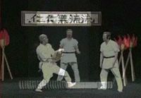 Japanilaisia karatetemppuja