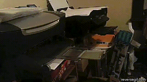 Kisse - Kissa lähettää faksin