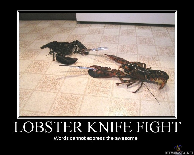 Lobster knife fight - The most awesome fight