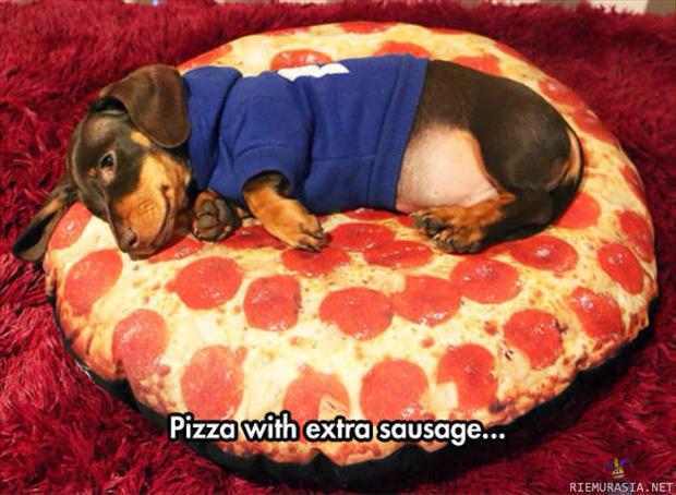 Ylimääräiset täytteet - Koira mennyt levolle pizza tyynyn päälle.
