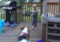 Tyttö ja koira leikkivät