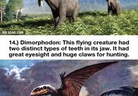 These 25 Creatures Used To Roam The Earth