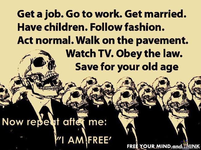 Are you free?