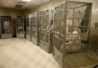 Ryhmäterapiaa San Quentinin vankilassa
