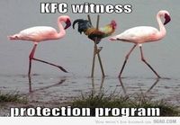 KFC Witness Protection