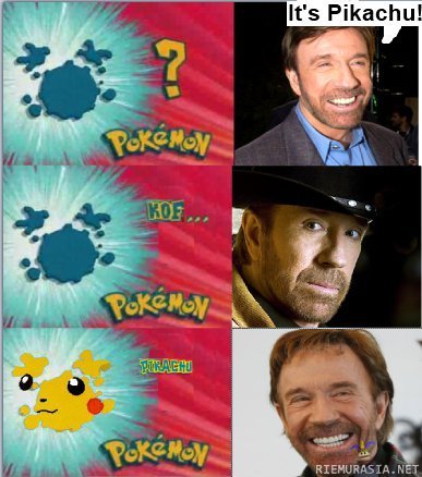 Who&#039;s that Pokemon? - Pikachuuu