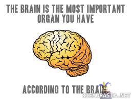 The brain is the most important organ you have - .. wait a minute