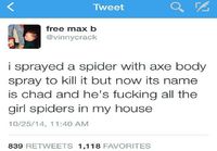 Chad the spider