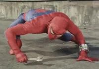 Spiderman vs. Ant-man