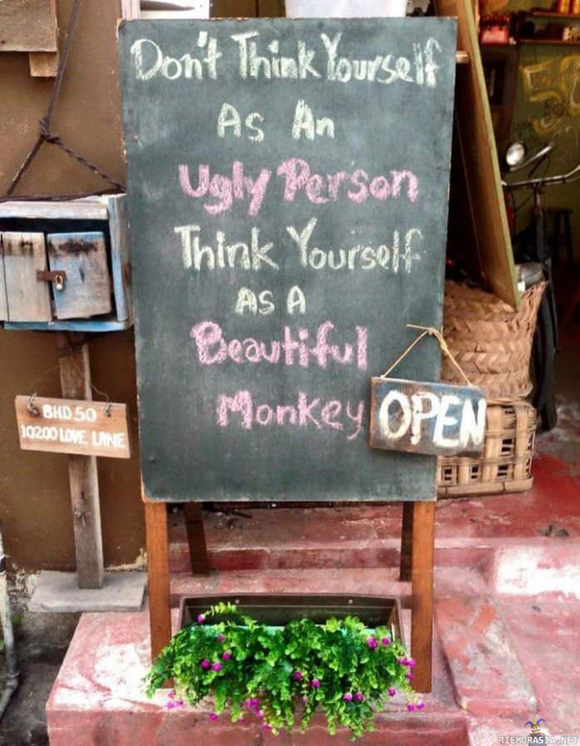 Et ole ruma ihminen - Olet todella kaunis apina