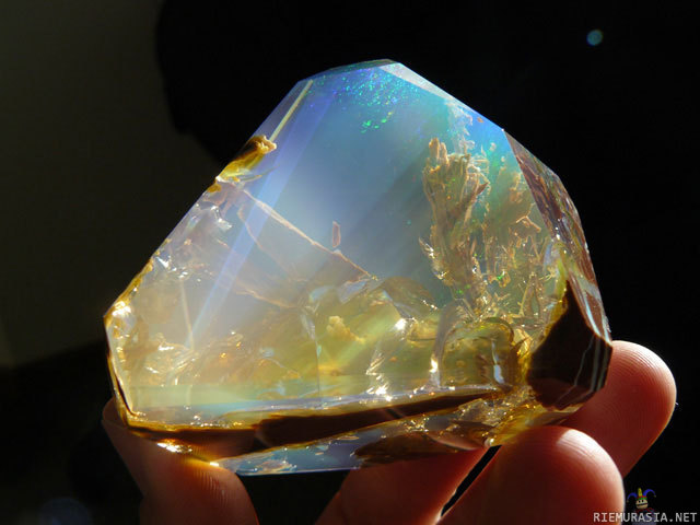 Kivi minne aika on pysähtynyt - It has been more than 100 years since opal was found in Oregon. When the discovery was made public in the 1890&#039;s