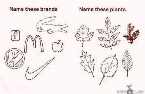 Brand vs. Plants - Kuinka monta tunnistat?